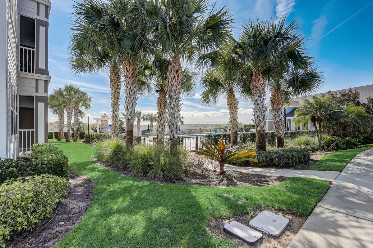 Photos and Video of Vista at Lost Lake in Clermont, FL